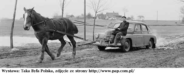 ko� ci�gn�cy samoch�d Warszawa